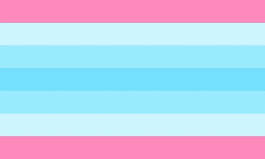 MECHASTRAL's tweet photo. HAPPY PRIDE i love having a ridiculous amount of flags so here's mine https://t.co/SNwcSo4D0I
