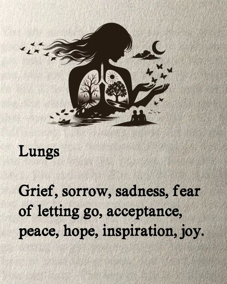 FitFusion12's tweet photo. Lungs https://t.co/QfXSvE9DIn