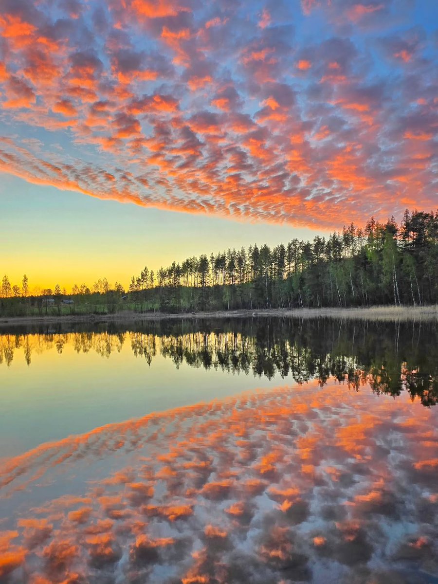 DiscoverFinland's tweet photo. Our Tuesday afternoon selection is a set of gorgeous lakeside reflection shots taken around Finland.

Photos shared on IG by anitamouhu, marileenan,  onehandsamurai, and krissenkaaluonnossa:

https://t.co/HdB3TJcTIL https://t.co/9cvHeDV8UY