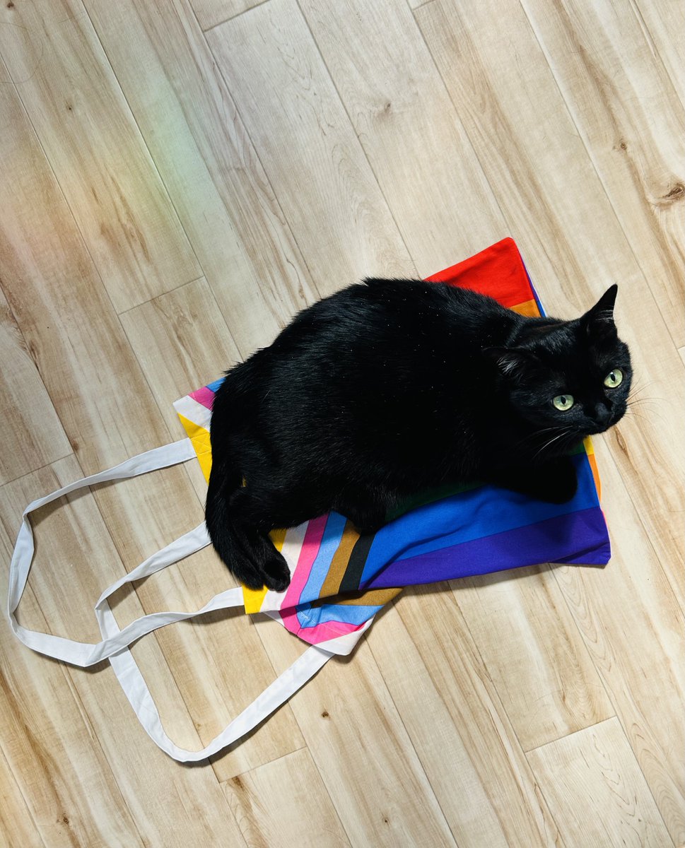 uozumiami26's tweet photo. 【Happy Pride🏳️‍🌈🏳️‍⚧️】

6月ですね

長年レズビアン、バイセクシャルをはじめとするセクシャルマイノリティを明言したメインキャラクターで商業漫画を描いています

思いの丈は漫画にしています

ハッピープライド🏳️‍🌈

#PrideMonth
#PrideMonth2026
#プライド月間 https://t.co/UYjUoNTQ5i