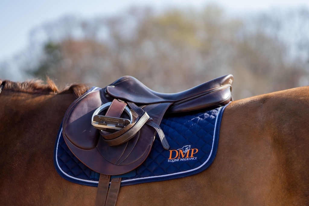 equivont's tweet photo. From mortality and major medical coverage to farm and trainer liability, DMP Equine Insurance helps protect the horses, businesses, and lifestyles that mean everything to us as equestrians. 

Visit https://t.co/NgrtIXxmn1 to learn more 🦄 https://t.co/1Cf1dWDud1 https://t.co/7YCHtNSv8d