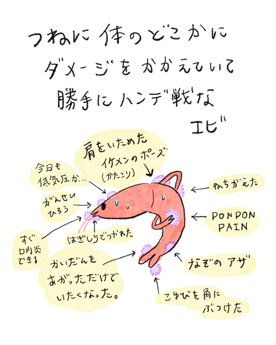 hamususi's tweet photo. 完全健康体になりたい！🦐

(みんなどこかしら痛いよね?) https://t.co/wtidJrk3aV
