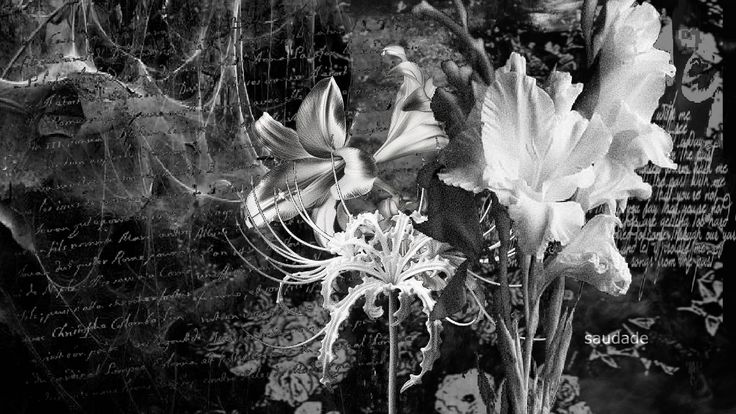 ࣪ tweet media