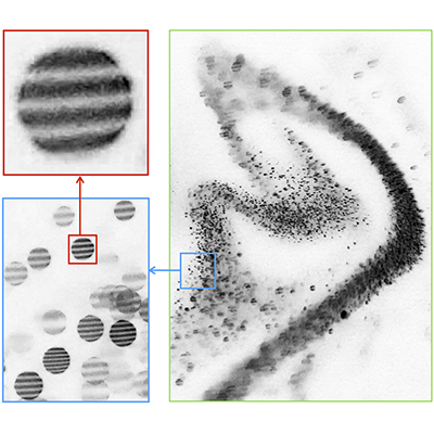 PhysRevFluids's tweet photo. In dense sprays, droplets evaporate more slowly than predicted for isolated droplets. Experiments with liquids of different volatilities show the delay comes from the coupling to the surrounding vapor field, controlling the spray boundary and evaporation.

https://t.co/GCo14XuT5w https://t.co/Rz98tpXTaC