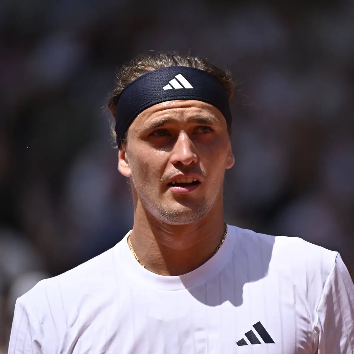 OnlyRogerCanFly's tweet photo. 📊 Tenistas con más presencias en cuartos de final de Grand Slam sin conquistar nunca un 🏆 (Open Era/Men’s Singles):

🇪🇸 David Ferrer | 17 (6+6+2+3)
🇨🇿 Tomas Berdych | 17 (7+3+5+2)
🇩🇪 ALEXANDER ZVEREV | 17 (5+8+0+4)

📍¿Desaparecerá del listado a partir del lunes? https://t.co/yD6bHxAosY