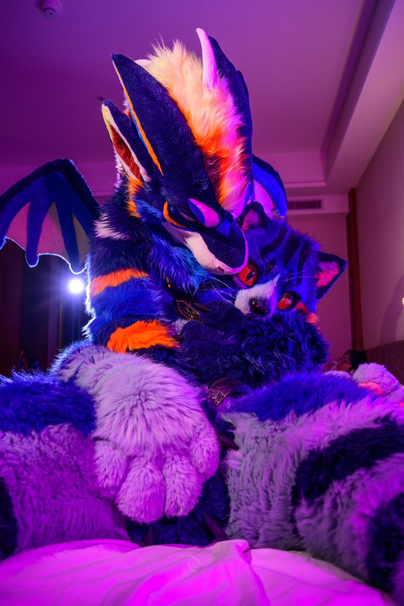 wolfnightsky's tweet photo. Blue cat and blue dragon⛓️
Photo by @racoonwolf 

🐉：@teryxc 
🐈：@wolfnightsky https://t.co/HYSoNK4v9W