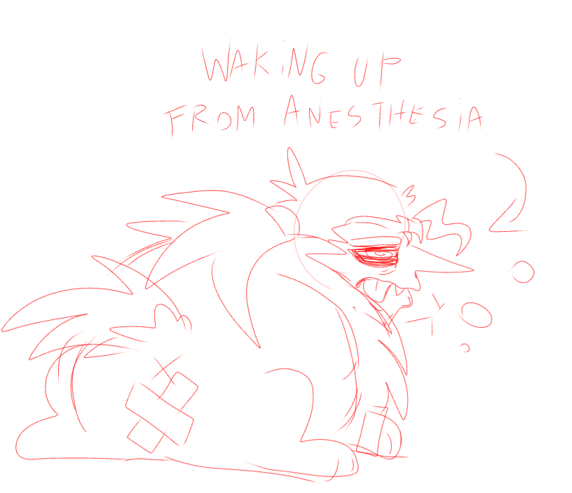 Hornedafbeetle's tweet photo. @solsunspot Heres your fiend back https://t.co/aNDaEaWRlo