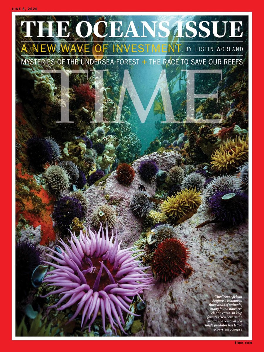 geordinhl's tweet photo. Our beautiful 'Great African Seaforest' featured in @TIME 🌊😍

"At the edge of Cape Town’s city lights, one of the ocean’s most intricate ecosystems is held together by creatures most people have never seen."

📲 Full article: https://t.co/SdO2QX8h5H https://t.co/ZR0V0s30M2