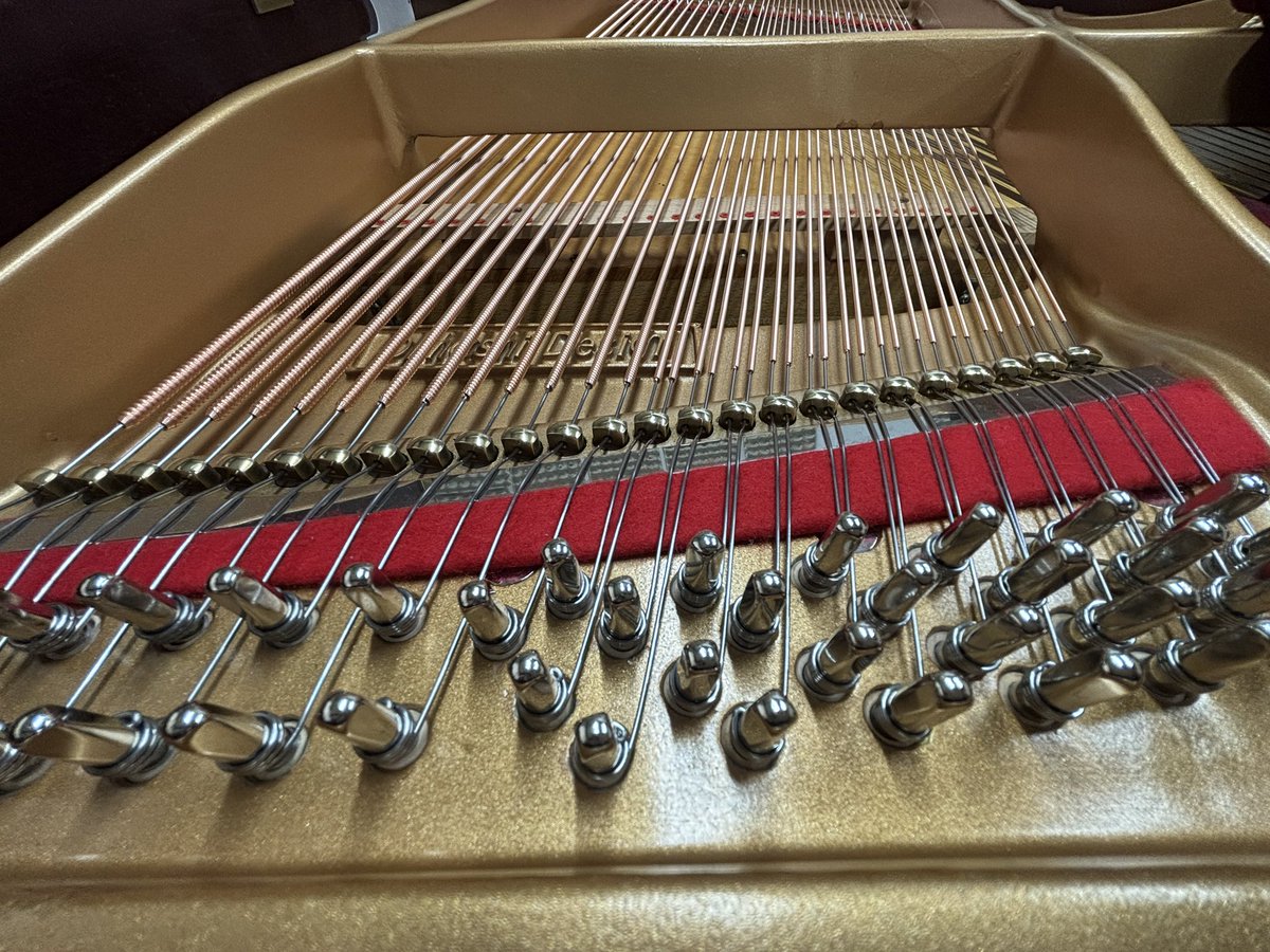YKPIANOFACTORY1's tweet photo. 店内販売用グランドピアノのピアノ線の張り替え作業を行いました。

50年前の古いピアノですがこれで安心して長くお使いいただけます！

チューニングピンは
ドイツ・ディアマント社製
を使用。

#ピアノ技研工業
#ピアノ修理
#ピアノ調律師 https://t.co/KaU1L64HXg