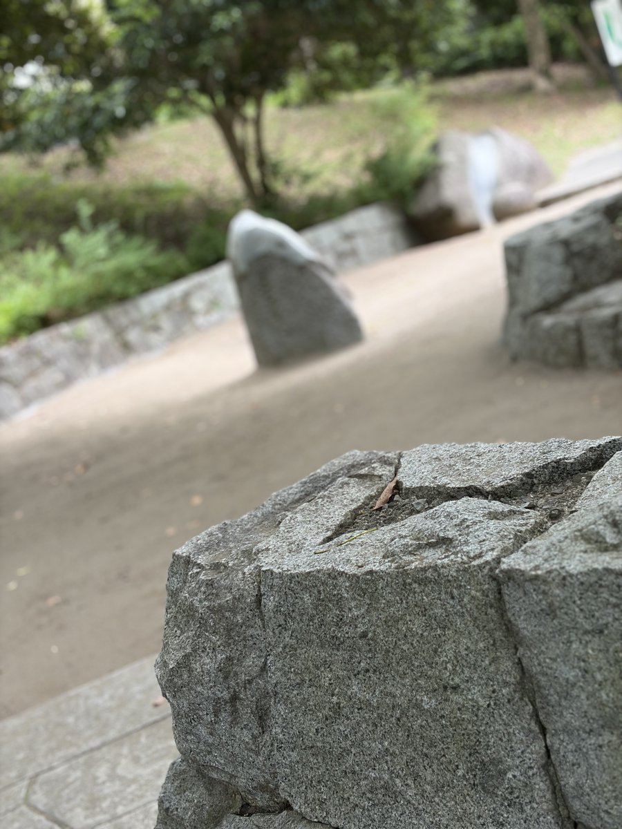 expand_pr's tweet photo. なんとなくお城っぽい！と思い撮影📷
建造物には興味があるのに史実はあまり…で生きてきたので、建造物から史実に入ってみるとか、興味の入り口を変えてみようかなと思いました！
正面から向き合うのではなく、角度を変えてみるのもいいかもしれないですね👀
#企業公式相互フォロー https://t.co/hhWsPE86uT