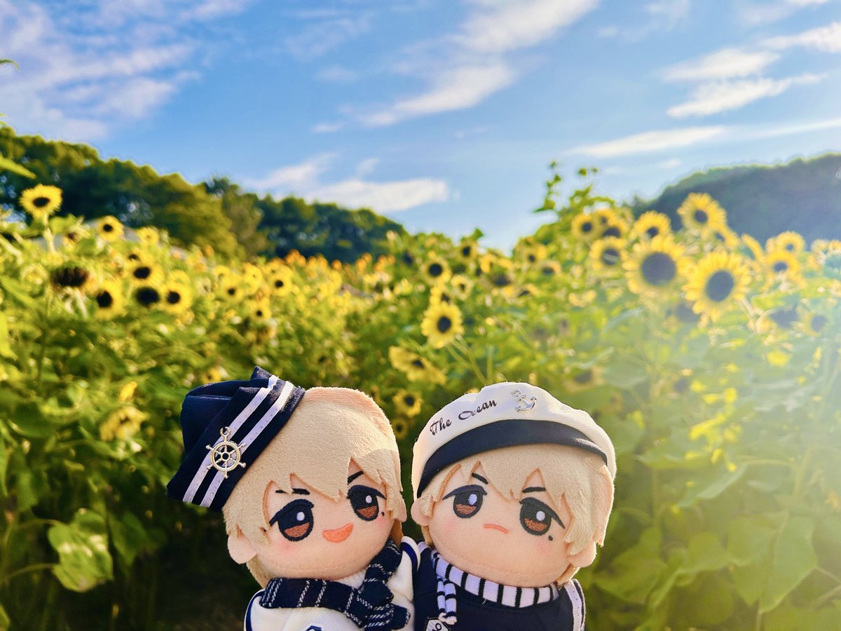 nmbrsk_mhd's tweet photo. 色々なけけぬい https://t.co/N0xIxBm4eI
