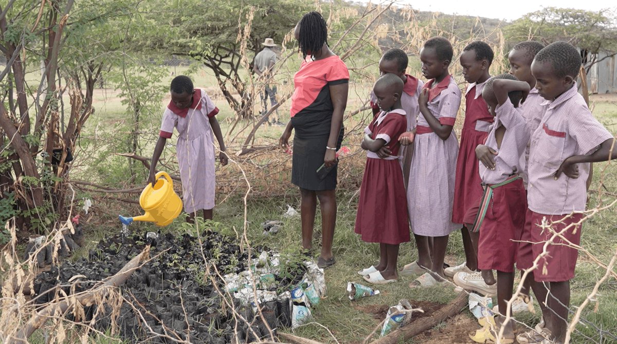 NativePEP_'s tweet photo. At Chelaba Primary School, learners are raising indigenous seedlings, restoring their environment, and sharing restoration knowledge with their families and communities. What began as a school tree nursery is growing into a movement. 

#NativePEP #EcosystemRestoration https://t.co/ZuG6L4uJf7