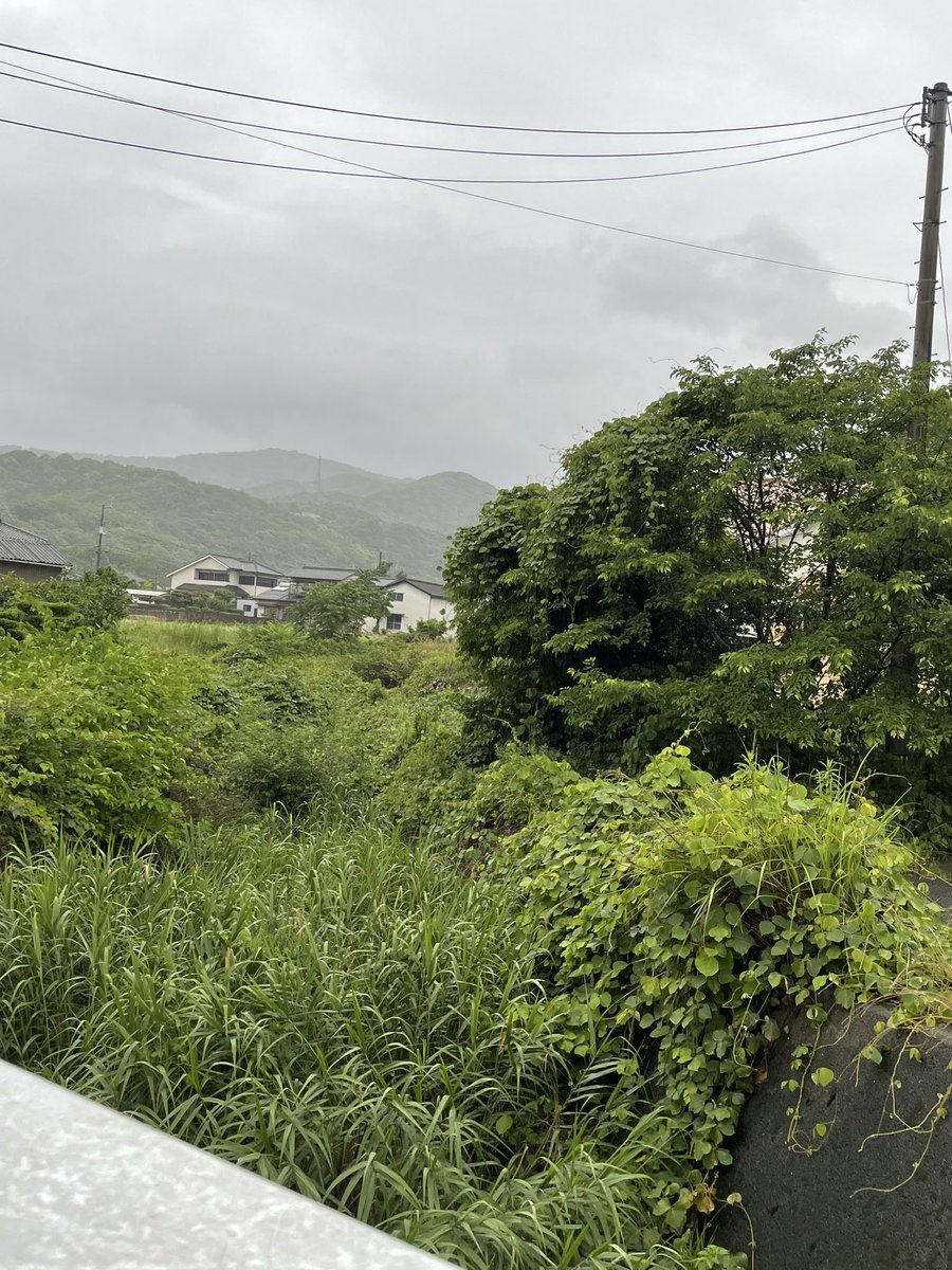 or_zlba's tweet photo. 嘘つき！徳島県東部県土整備局
4年に１回は、必ず伐採に来ますだと！
もう6年以上経ってますけど！！

当時の課長やら、町議員の名刺
きちんと保管してまっせ！
なんなら部下のタメ口で喋ってきたのも忘れてませんから！

#徳島県
#東部県土
#土石流警戒区域

さっさと来い💢😡 https://t.co/cagxhtGrH6