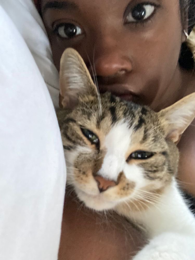 ParoV7's tweet photo. “QIARA HELP ME IVE BEEN TURNED INTO A CAT!! QIARRAAAA”
#Brightlight #SolarFlare https://t.co/27P7aEsY3V