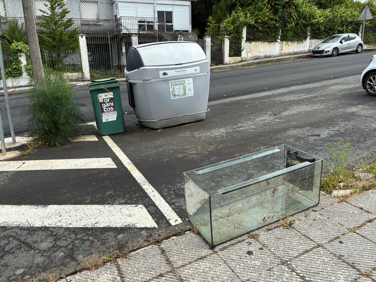 nanysimo's tweet photo. .@ConBergondo La gente es una incivilizada y desalmanda. Han dejado una pecera junto al contedor. No sé si pueden hacer algo para recogerla y evitar una desgracia. He llamado al Consorcio pero hasta el lunes "no toca" recogida de enseres. Gracias https://t.co/nHVzekcDtW