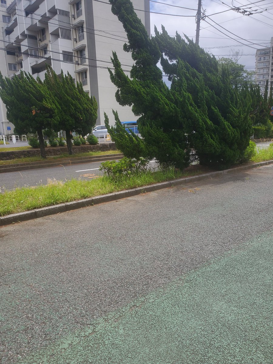 けろ tweet media