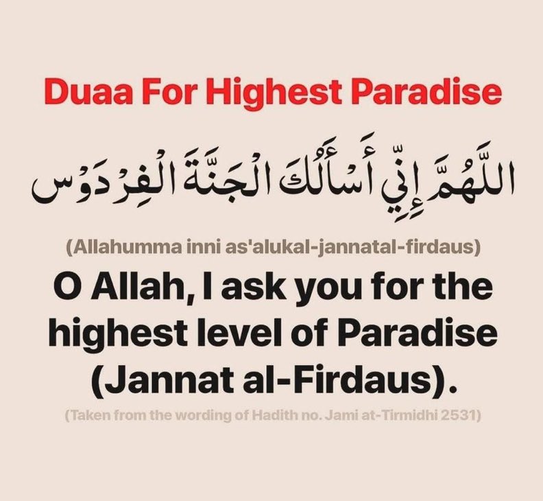 Mahdii365_'s tweet photo. Dua for highest paradise https://t.co/N6Si8vzHkV