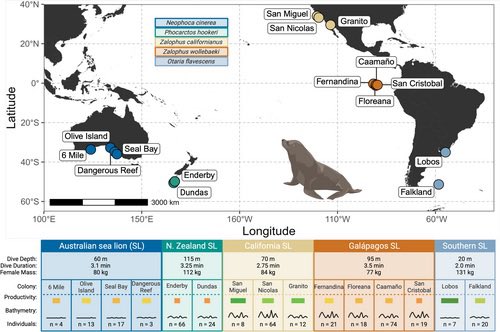 consbiog's tweet photo. 🦭 Does environmental complexity shape behaviour? Across 5 sea lion species, environmental heterogeneity promoted greater #behaviouraldiversity, while low-productivity #habitats favoured specialist strategies. 

🔗 https://t.co/jXcszw1D3V https://t.co/Mpi8QBZVSn