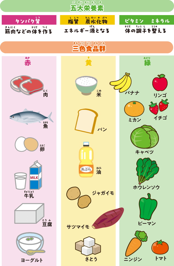 aioutaou's tweet photo. 3回に分けて食べることで
栄養素をこまめに体に吸収させて
あげることが大切みたい✨
#えいようラボラトリ
@eiyolabo 

朝イチ
牛乳🥛(赤)パン🍞(黄)バナナ🍌(緑)
取りにくい人にはオススメ✨ https://t.co/dsgs8TicUG