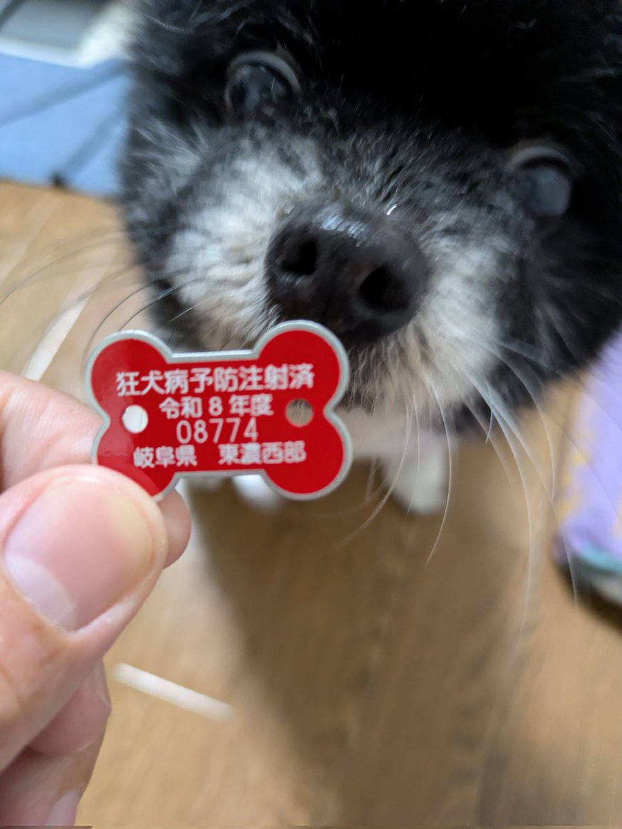 TOURER93's tweet photo. 今年も狂犬病予防完💉🐶 https://t.co/4zAHr8eAs8