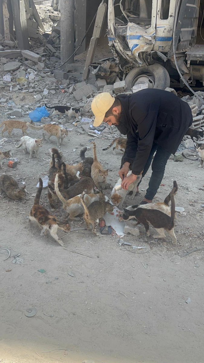 Salam animal care tweet media