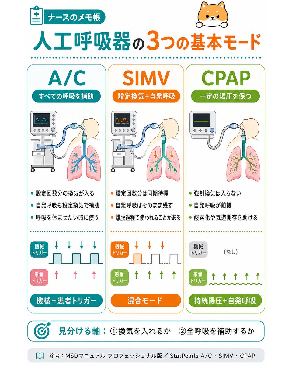 nurse84memo's tweet photo. 新人看護師向け

人工呼吸器の3大モード設定 https://t.co/pgqOBKd0vF