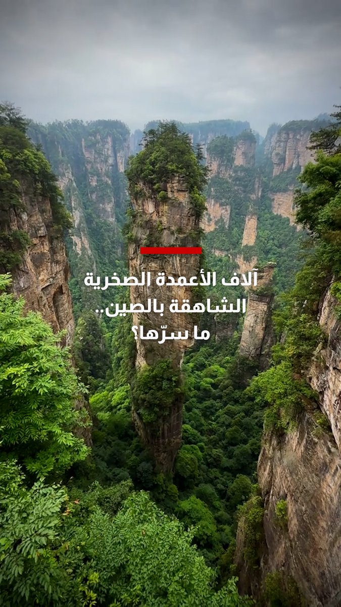 مدونة سفر ترصد آلاف الأعمدة الصخرية الشاهقة بالصين في مشهد كأنه من فيلم سينمائي 