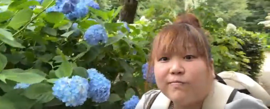 reipokoman's tweet photo. 2026.6.2(火)
相模原あじさい͛💠🌿.∘
花見後の井戸端会議も
楽しかった～(*´﹀`*)♡

思い出話きいてくれてありがとう❤️

なんくるないさー👍🏻⋆͛
れいこ先生ってさデブだよね👍🏻☆
赤い線が見えないのでぇ～👍🏻𖤐·̩͙

またあじさいリベンジしに行く👍🏻⟡.·
アナベル満開
今度みんなでみようね👍🏻◝✩✨️ https://t.co/phTys2G1UW