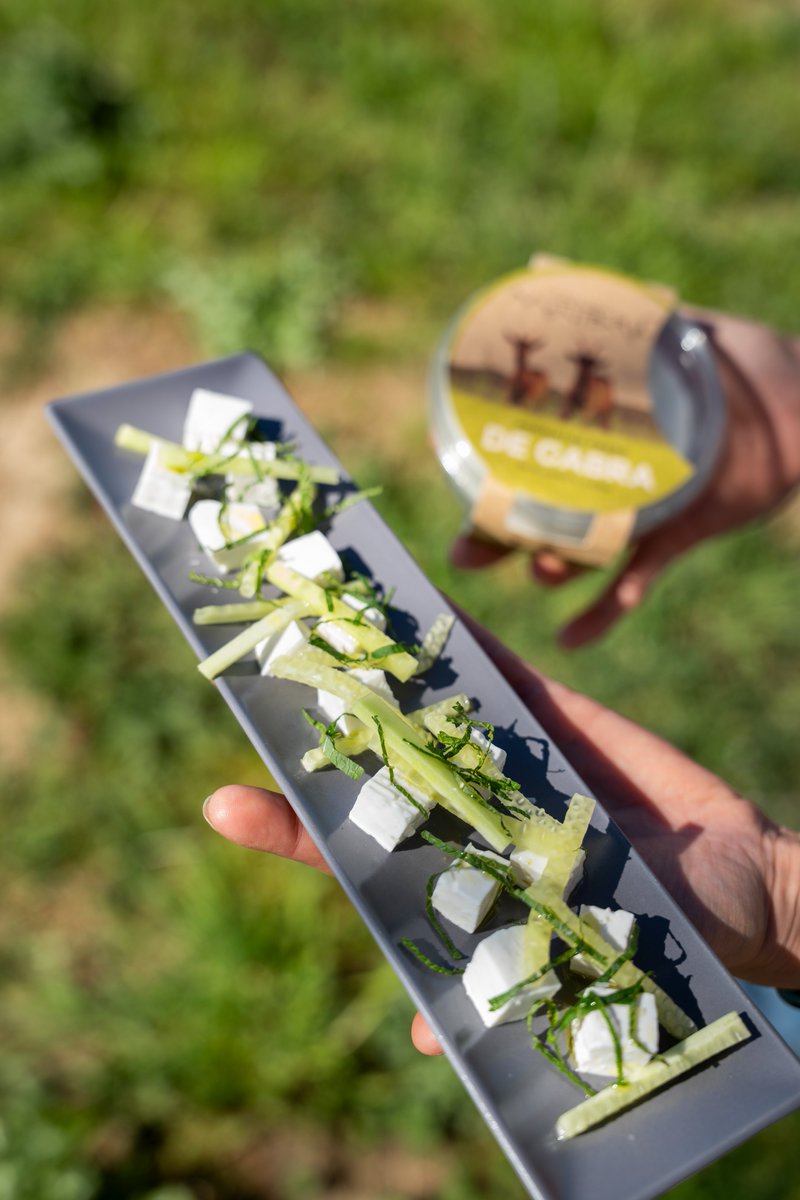 formatgemontbru's tweet photo. Seguim amb les combinacions fresquetes, família formatgera! 🧀🌿

Avui us proposem una idea 🔝 per als dies de calor: formatge fresc de cabra amb cogombre i menta 🥒 Un plat lleuger i refrescant per aquells moments que volem gaudir sense complicacions 😋 https://t.co/TDZNYQtTiI