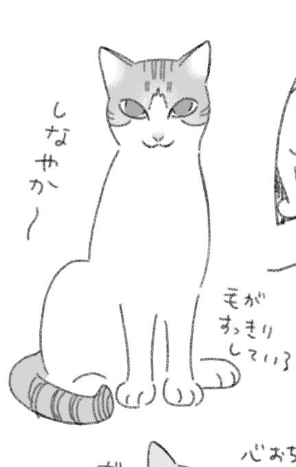 人さまのネコチャン見ると色々違って興味深い。白黒のハチワレネコチャンってけっこう毛がパヤパヤしてることが多い気がする 