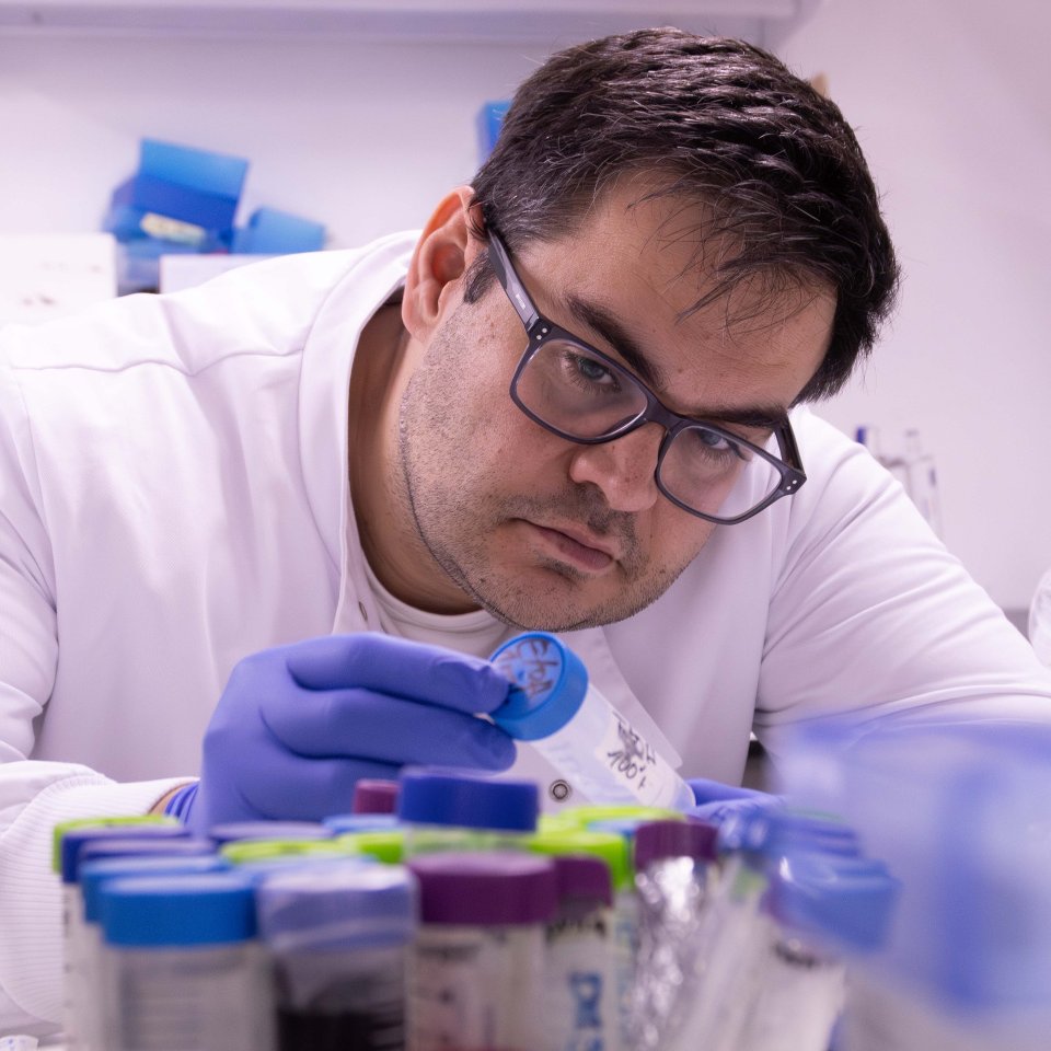 usal's tweet photo. Científicos de la USAL descubren un “interruptor” molecular clave en el desarrollo del cerebro 🧠

Un equipo del @Incyl_Usal liderado por Rubén Deogracias @DeograciasLab ha revelado que la ausencia o mal funcionamiento de la proteína MSK1 provoca alteraciones similares al autismo, la esquizofrenia y el síndrome de Rett.

Este avance internacional, publicado en la prestigiosa revista Molecular Psychiatry, no solo identifica por primera vez a la MSK1 como regulador esencial de los circuitos cerebrales sino que demuestra que las enfermedades neurodegenerativas dejan su huella mucho antes de ser detectadas y abre la puerta al diseño de nuevos fármacos y dianas terapéuticas. 💊 

En la USAL seguimos liderando la ciencia de excelencia para mejorar la vida de las personas. 🔬

➡️ https://t.co/AkZFQjHZAe