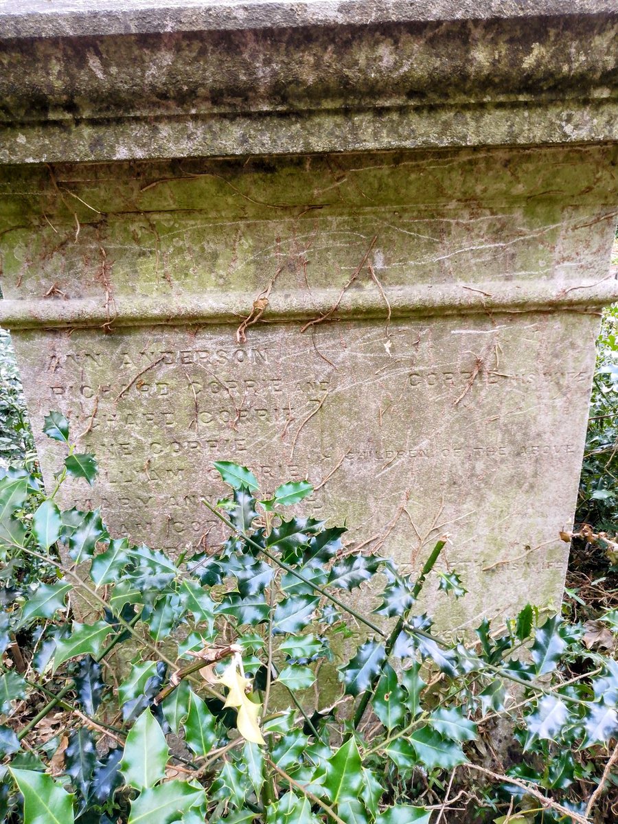 phil0073's tweet photo. #RememberWednesday 14a .For the Reburials from #CheeseLaneChapelWellingborough in #LondonRdCemeteryWellingborough*.Rest in Peace.These are the most ancient people here;i.e. Mrs Ann Anderson lived 1721-95.*began c.1857. #MonumentMonday #StoneworkSunday #PhilOnaBike https://t.co/ewPlm03Occ