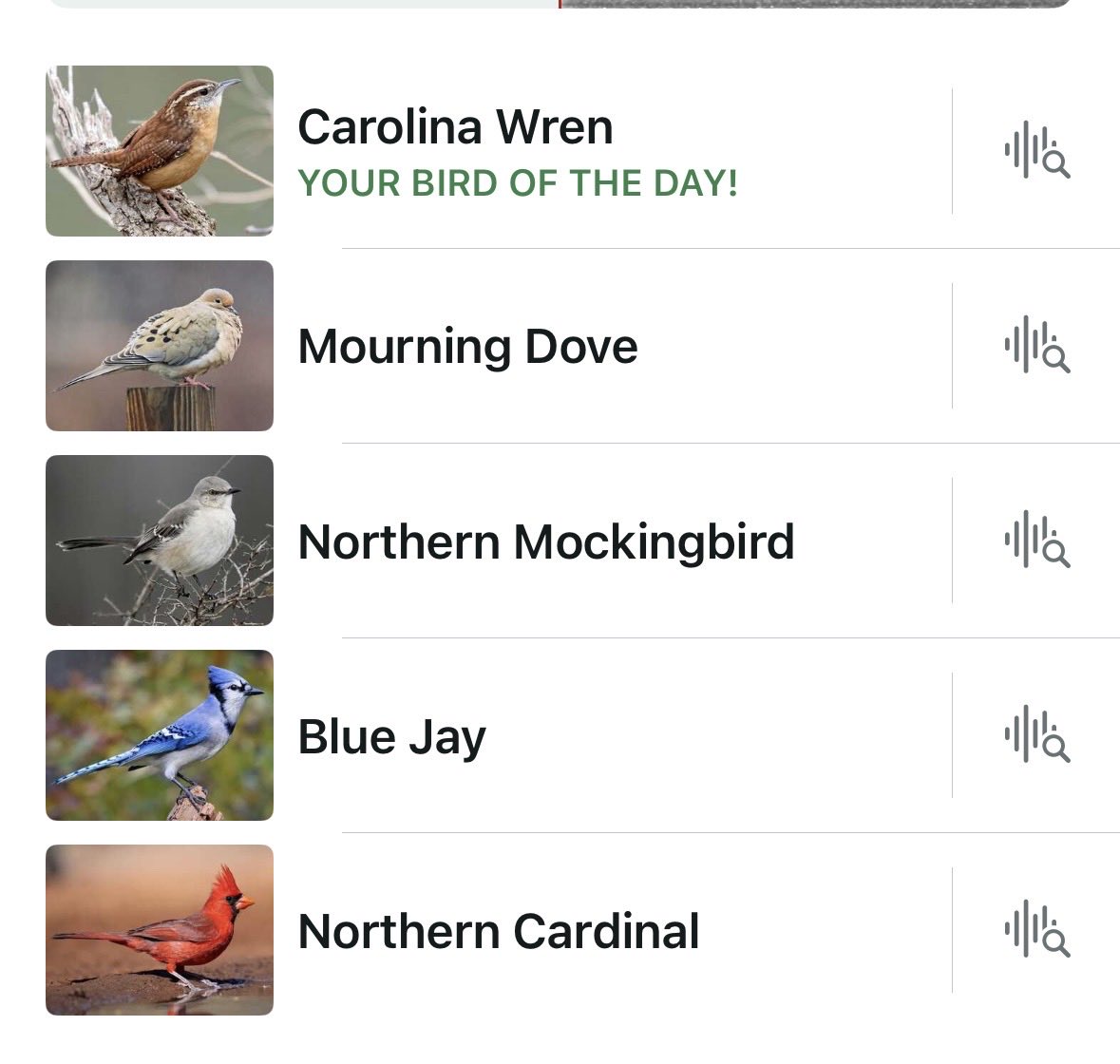 Gatchpack's tweet photo. They were chirping today! https://t.co/eFlCeWZvyI