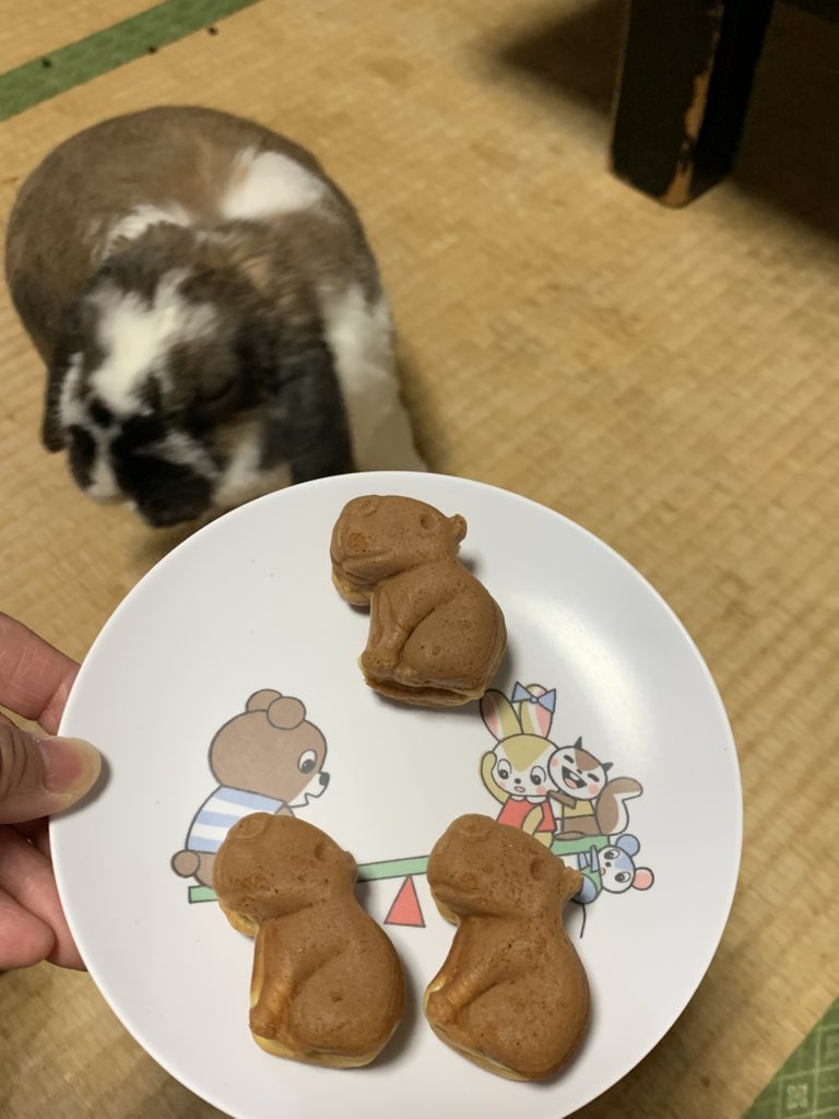 njamjamjam's tweet photo. これも買ったんだけど、餡子入ってなかった。
人形焼って言うより、ベビーカステラだね、これは。 https://t.co/TKvipXjvPP