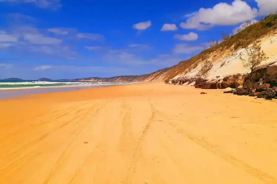 BeachScenes ⛱ tweet media