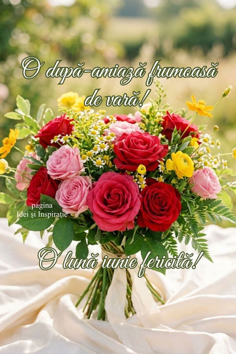 MMumteanu's tweet photo. O după amiază plăcută dragi prieteni! 🌹❤️👍 https://t.co/fUPKRilY6f