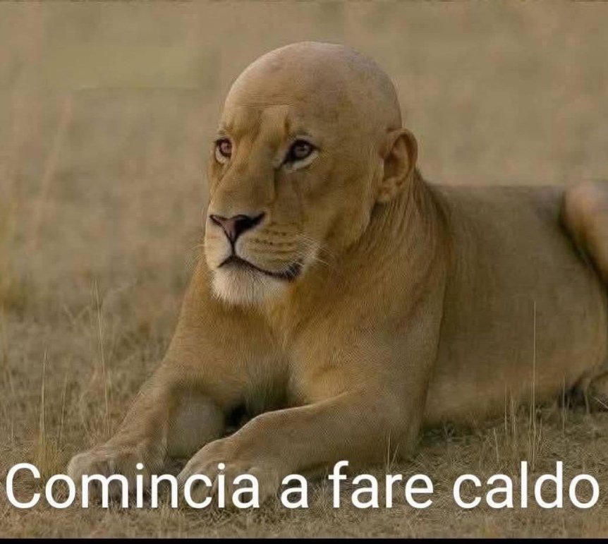 RunAtOnce💘 tweet media