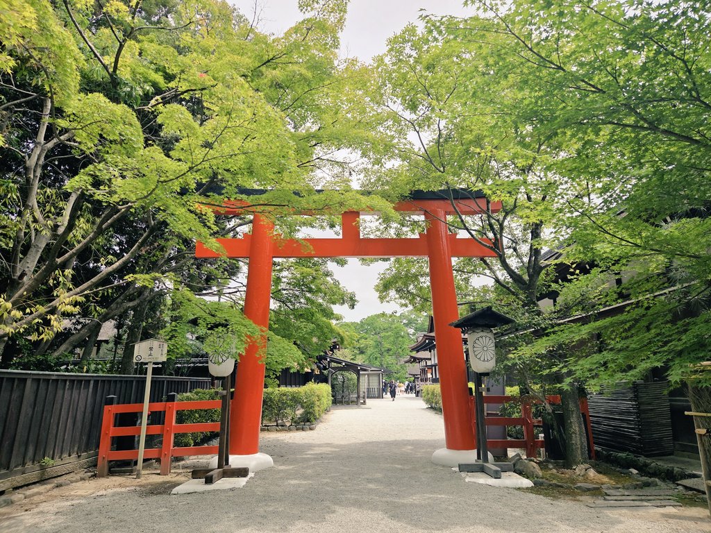 _kh_zk_'s tweet photo. 京都に行ったので、下鴨神社から糺の森に抜け、鴨川デルタから先斗町にも入り、森見登美彦を感じてきた〜💮
『大学三回生の春までの二年間、実益のあることなど何一つしていないことを断言しておこう。』 https://t.co/gVPrUm1MuR