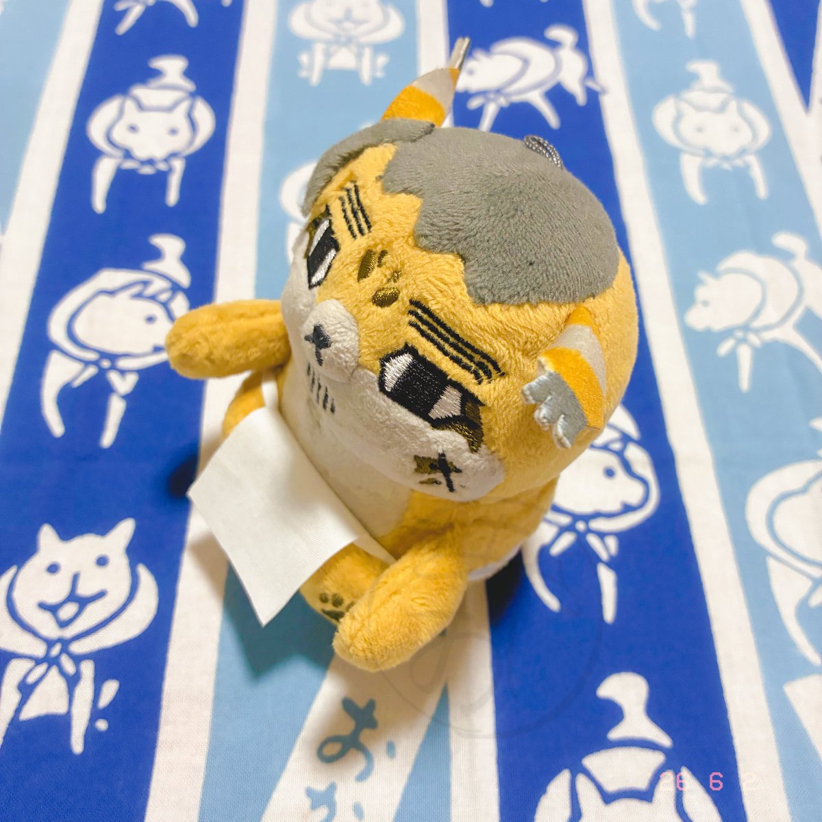 _upper_cut_'s tweet photo. 録画ゴローちゃん堪能中冬毛 https://t.co/jaW7PF22la