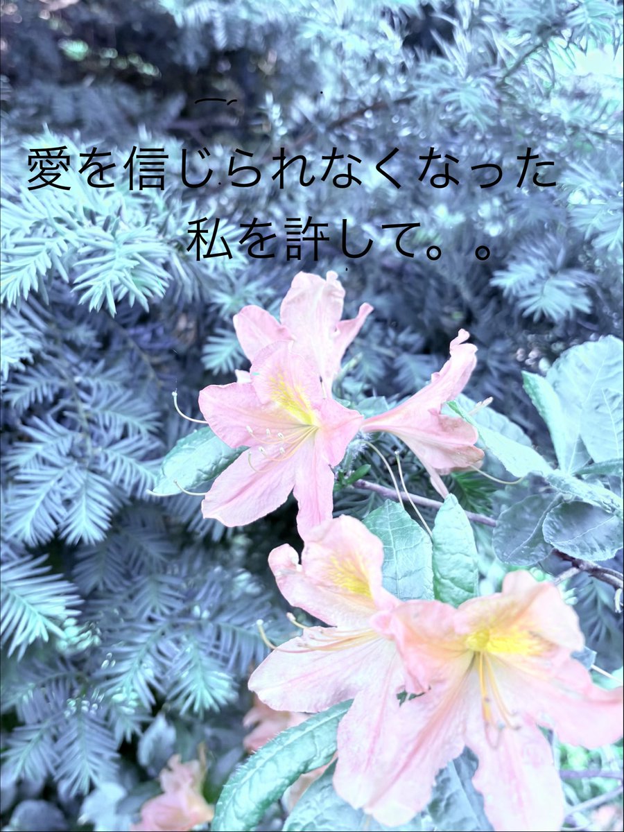 nerula0113's tweet photo. いつかは２人ぽっちで
笑える日が来るように。。

永遠なんてないけど
1人ぽっちは寂しすぎるから。。 https://t.co/7CyrOzdhGQ