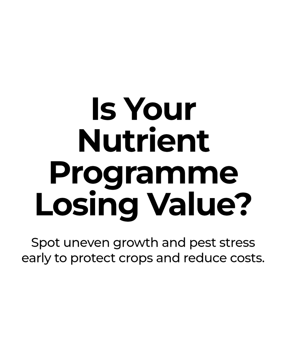 nanoferts's tweet photo. Quick signs your nutrient programme is leaking value:
- Uneven plant growth
- More pest stress
- Soil nutrient imbalance
Spot these early to protect crops and cut costs. #greenkeeper #coursemanager #greenkeepersuperintendent #superintendent #agronomist #turfscience https://t.co/9L1B1jkdIY