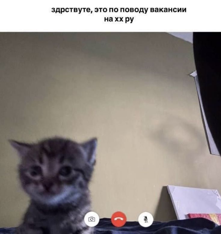 Miva_mori's tweet photo. все мы с чего то начинали 💀💀💀: https://t.co/C4y3KU28cv