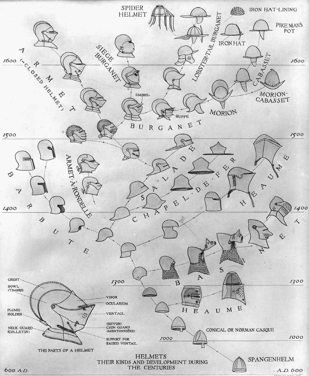 Vatanabeus tweet media
