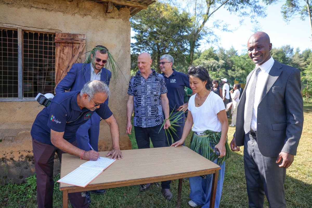 WangariMaathai's tweet photo. True ecosystem restoration puts community first! 🤝 Today, our French &amp; Kenyan partners (from French Embassy, @icipe, @ird_fr) joined hands at Isecheno Primary School to champion community-led environmental governance.  
#WangariMaathaiFoundation #KakamegaForestLink 🌲 https://t.co/ZcWxajPw0T