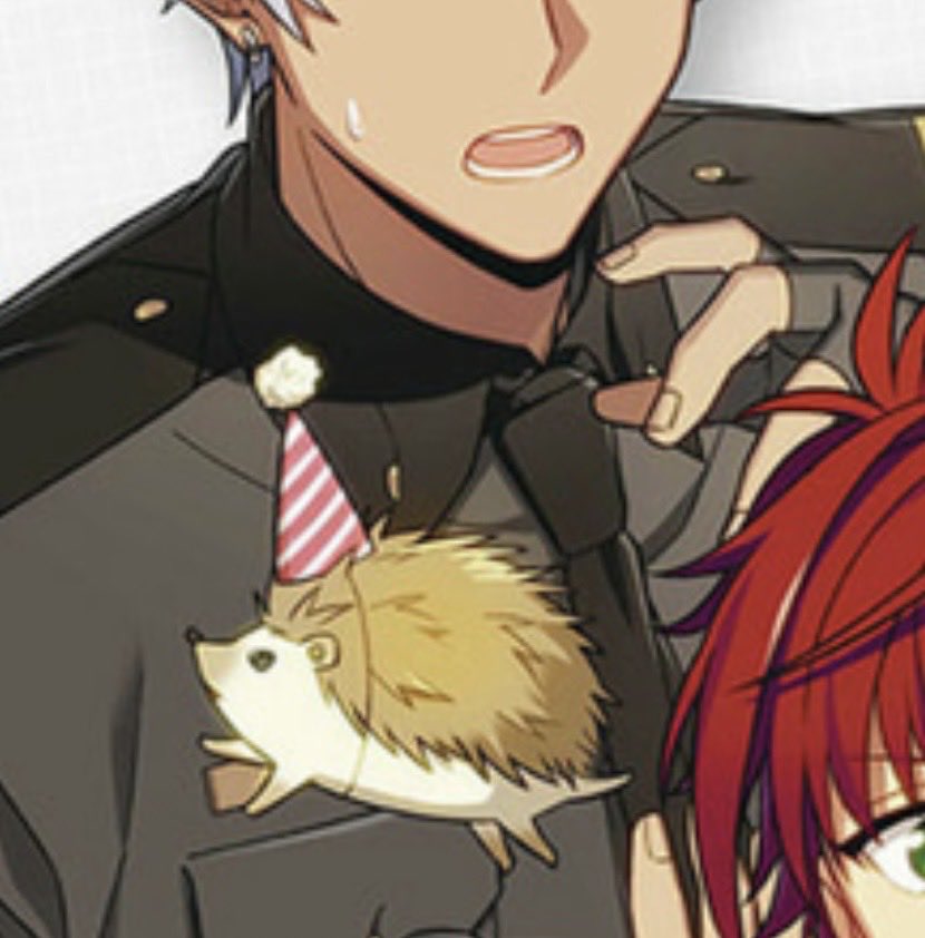 emya_bros's tweet photo. アレキサンダーおめかしシリーズ🦔🎀 https://t.co/1eATmuKhgU