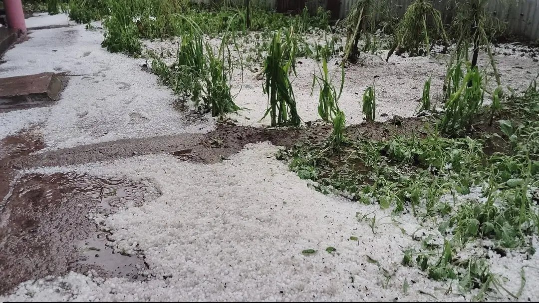 KWeatherWatch's tweet photo. Severe hailstorm hits Aripal tral

Pics: Junaid Kashmiri https://t.co/93uc9jhoZa
