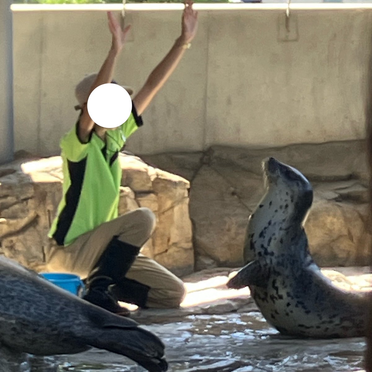 水族館に行ってきました🐠！ アザラシ可愛すぎる🦭ウミガメでっっかい