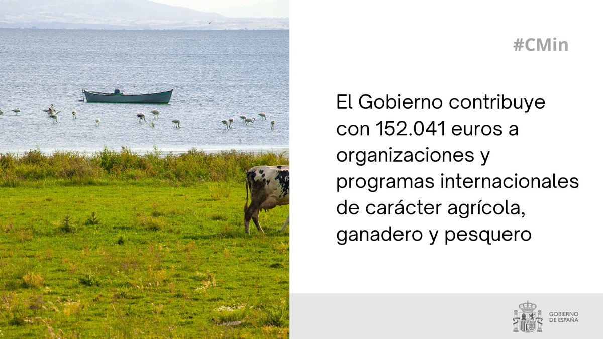 gobmapa's tweet photo. #CMin | El Gobierno contribuye con 152.041 € a organizaciones y programas internacionales de carácter agrícola, ganadero y pesquero.

Toda la información: ⤵️
https://t.co/8qpU8HjnuP https://t.co/ygDK2OhC0x