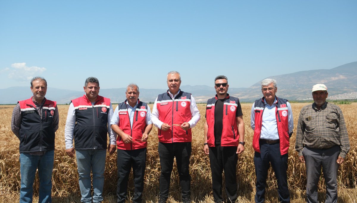 sozgazetesi31's tweet photo. İl Tarım Müdürü Türkmen Biçerdöver İle Buğday Hasadı Yaptı @tahirbilimm  @Abdurra33831811 
https://t.co/BopkNI4zRK https://t.co/j1EWLWPOYX