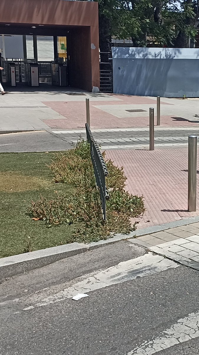 AlonsoXL's tweet photo. El @ayto_pozuelo se gasta miles de euros en flores de temporada para adornar las rotondas y paseos del municipio... al #PozueloAbandonado NO llegan 😡😡😡 
#Pozuelo #MedioAmbiente https://t.co/C41rMtujjN